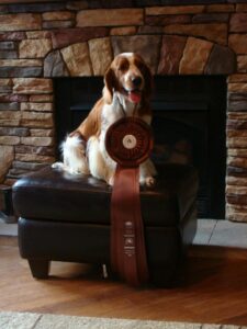 Bronze tie--Parker