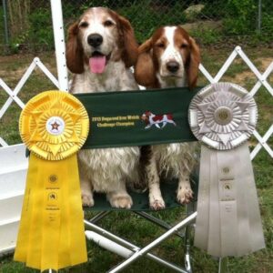 Gold-Logan and Silver-Holly